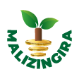 malizingira.net